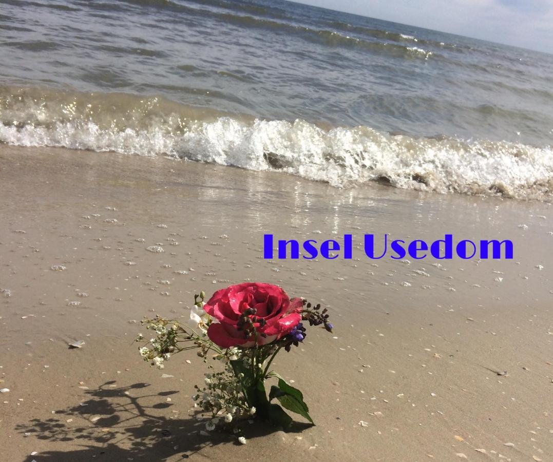 Ferienwohnung Mit Terrasse - Insel Usedom Trassenheide Bagian luar foto
