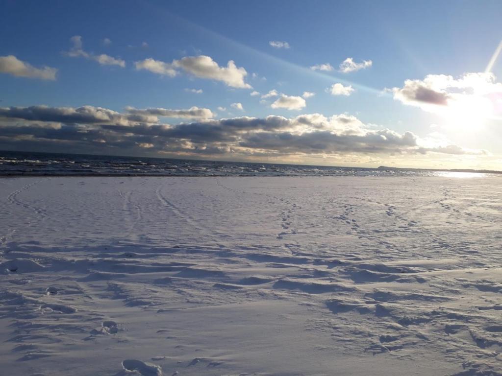 Ferienwohnung Mit Terrasse - Insel Usedom Trassenheide Bagian luar foto