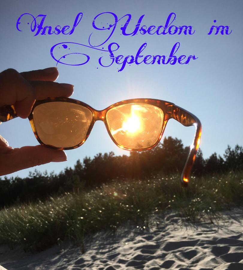 Ferienwohnung Mit Terrasse - Insel Usedom Trassenheide Bagian luar foto