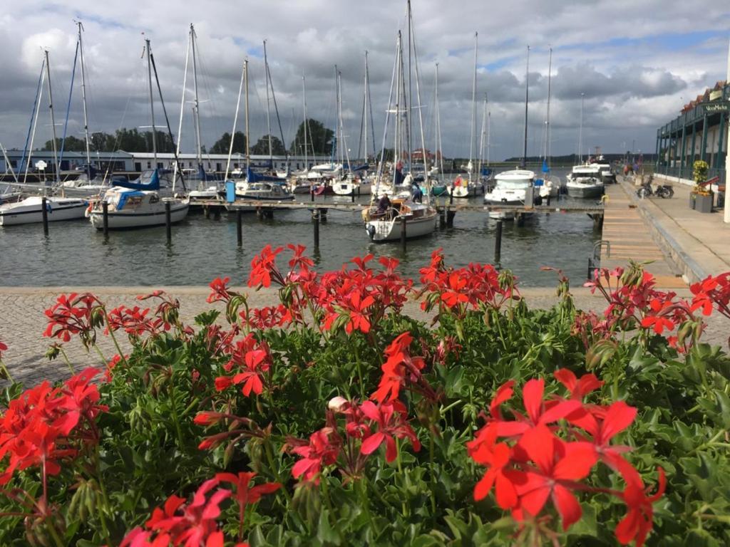 Ferienwohnung Mit Terrasse - Insel Usedom Trassenheide Bagian luar foto