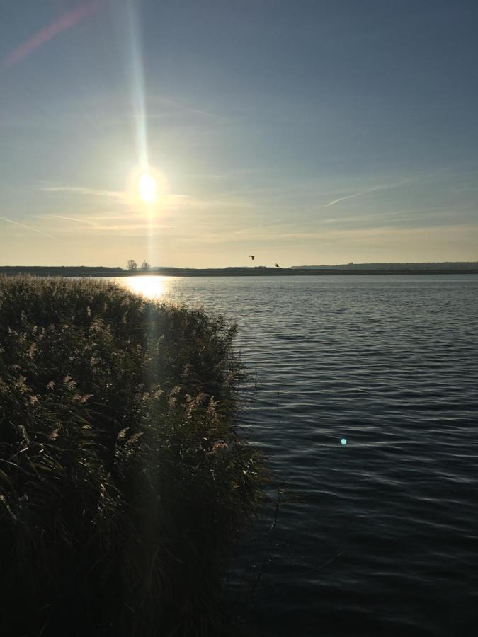 Ferienwohnung Mit Terrasse - Insel Usedom Trassenheide Bagian luar foto