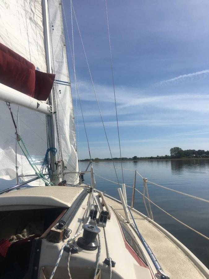 Ferienwohnung Mit Terrasse - Insel Usedom Trassenheide Bagian luar foto