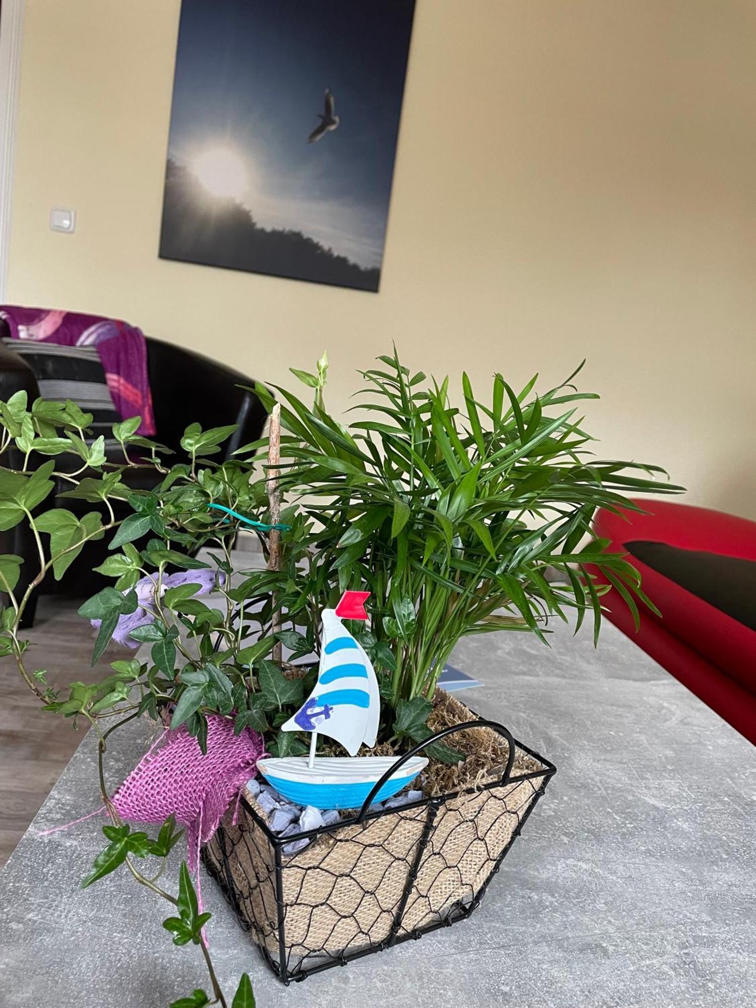 Ferienwohnung Mit Terrasse - Insel Usedom Trassenheide Bagian luar foto